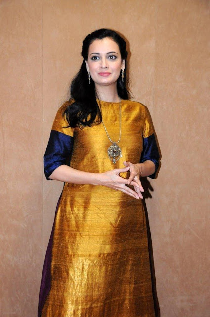 Bollywood Actress Dia Mirza Photos In Yellow Dress 2